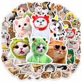 Pile of funny cat photo stickers with white borders on a white background