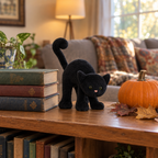 Scared black cat plush on a bookshelf next to a small pumpkin and old books