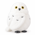 Fluffy white snowy owl plush on a white background